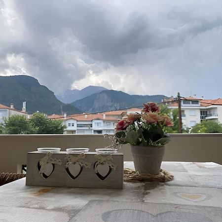 Apartmán Στη Γοητεία Του Ολύμπου Litochoro Exteriér fotografie